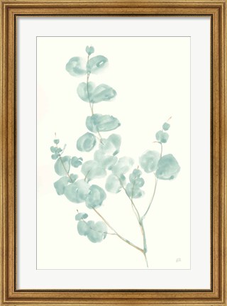Framed Eucalyptus Branch I Print