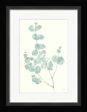 Framed Eucalyptus Branch I Print