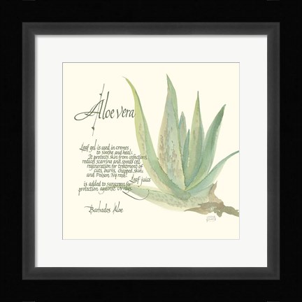 Framed Aloe Vera Print