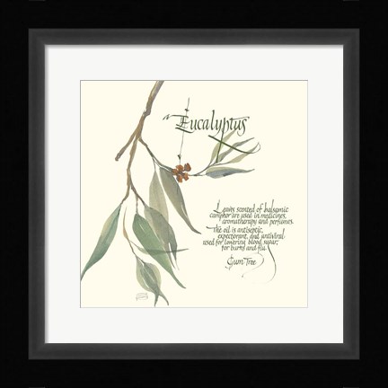 Framed Eucalyptus Print