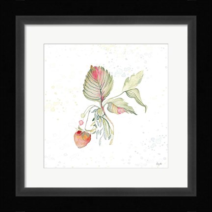 Framed Botticelli Plants V Print
