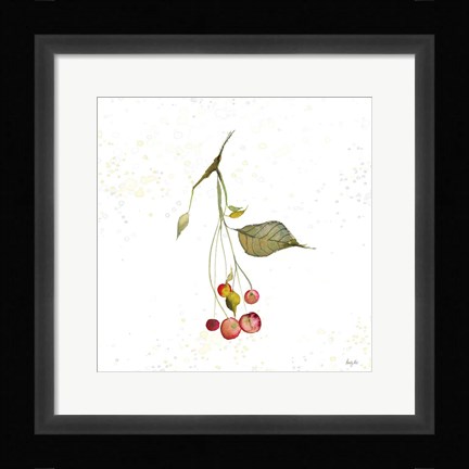 Framed Botticelli Plants III Print