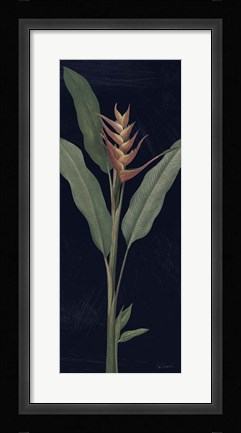 Framed Dramatic Tropical IV Light Crop Print
