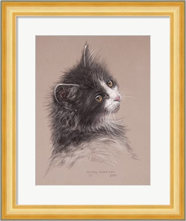 Framed Pretty Kitty Print