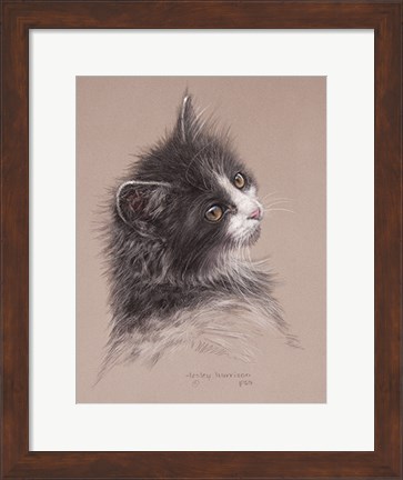 Framed Pretty Kitty Print
