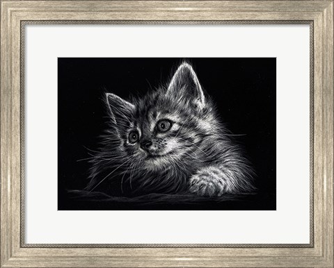 Framed Kitten Print