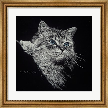 Framed Kitten II Print