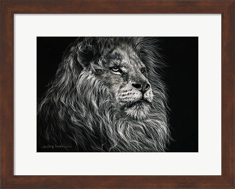 Framed African Lion Print