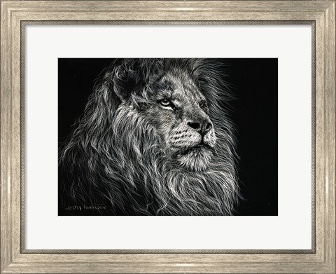 Framed African Lion Print
