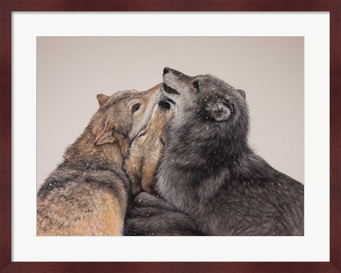 Framed Three Wolves Print