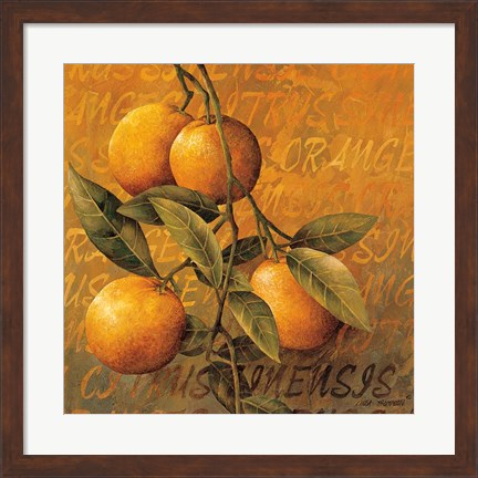 Framed Orange Branch Print
