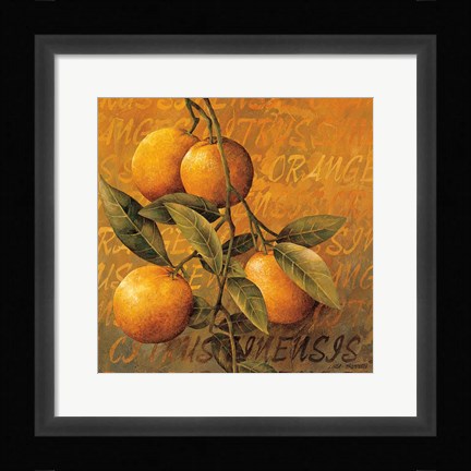 Framed Orange Branch Print