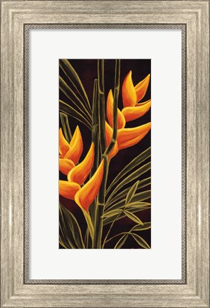 Framed Heliconia Print