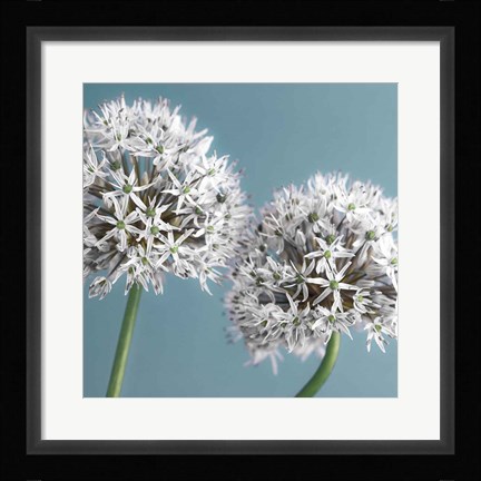 Framed Bliss II Print