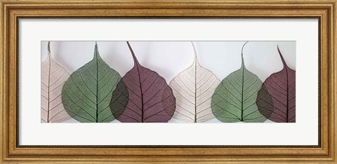 Framed Leafy Address Print