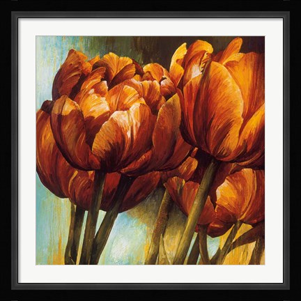 Framed Floral Radiance I Print