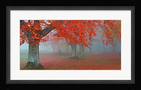 Framed Arboles Rojos Print