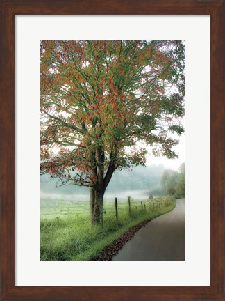 Framed Almost Autumn Print