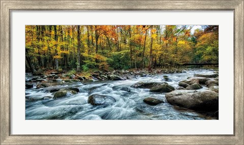 Framed Painted Autumn Print