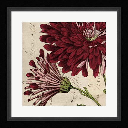 Framed Joyful Bloom II Print