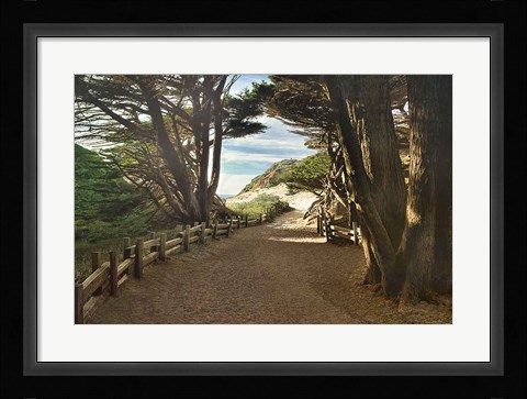Framed Big Sur Print