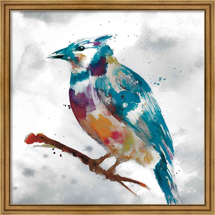 Framed Blue Jay Print