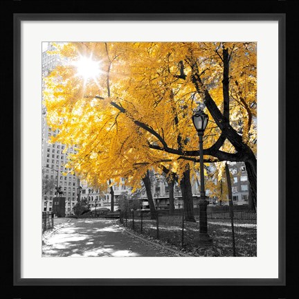 Framed Park Pretty II Print