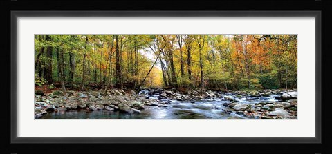 Framed Porters Creek Print