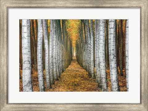 Framed Tree Farm Print