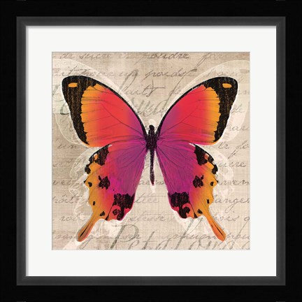 Framed Butterflies III Print