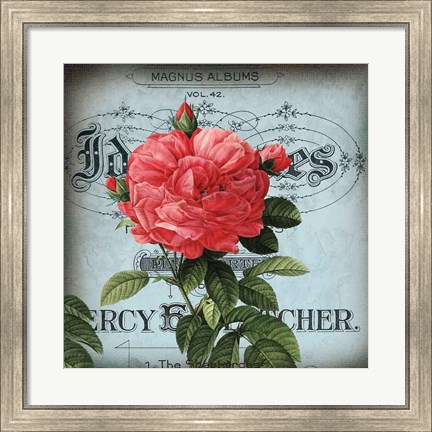 Framed Petite Rose I Print
