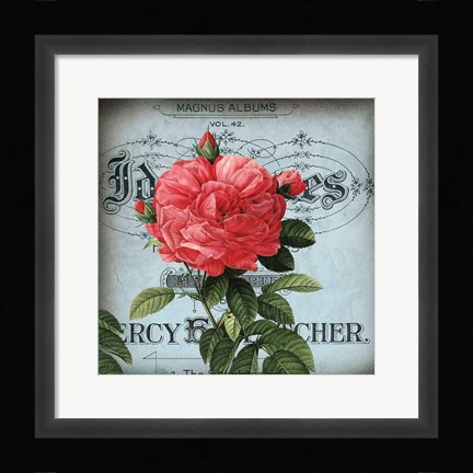 Framed Petite Rose I Print