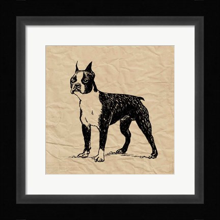 Framed Boston Terrier Print