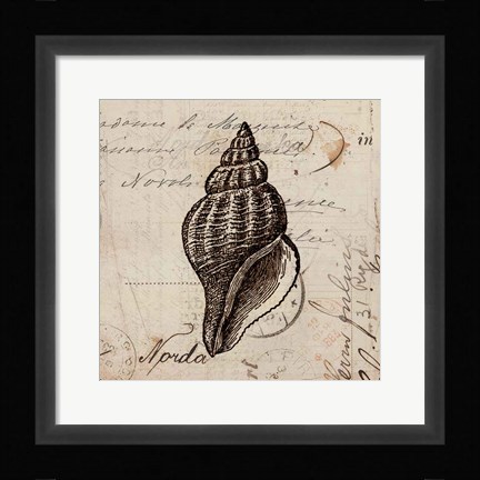 Framed Ocean Collection I Print