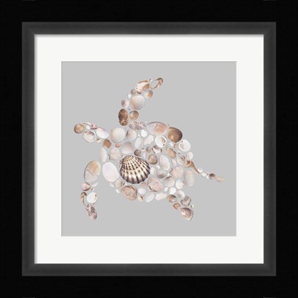 Framed Sea Turtle Print