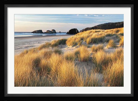 Framed Dune Grass And Beach Print