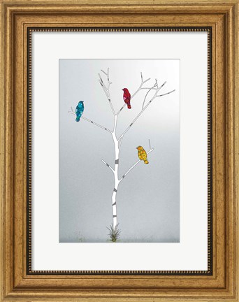 Framed Three In A Tree Print