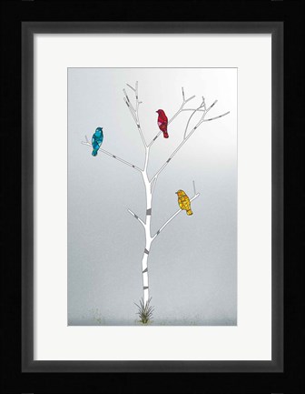 Framed Three In A Tree Print