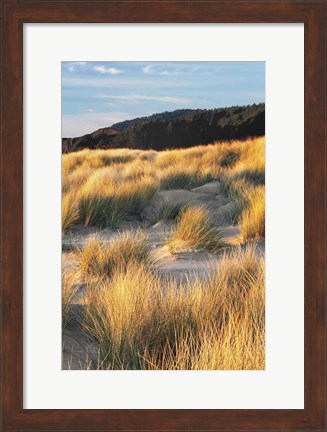 Framed Dune Grass Qnd Beach III Print