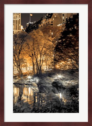 Framed Central Park Glow III Print