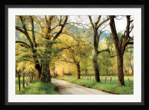 Framed Warm Morning Light Print