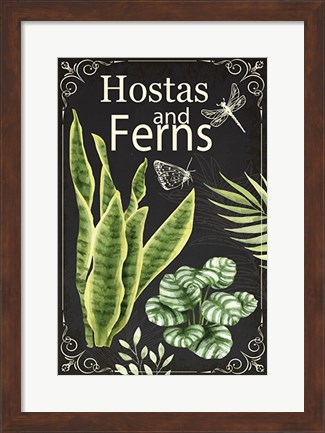 Framed Hostas and Ferns Print