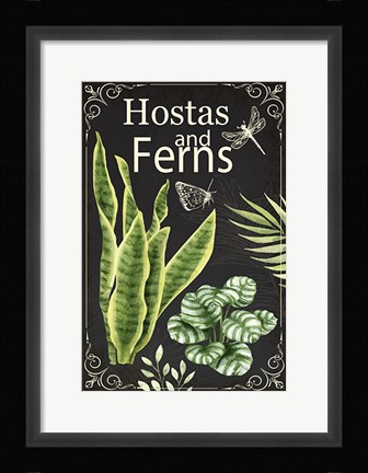 Framed Hostas and Ferns Print
