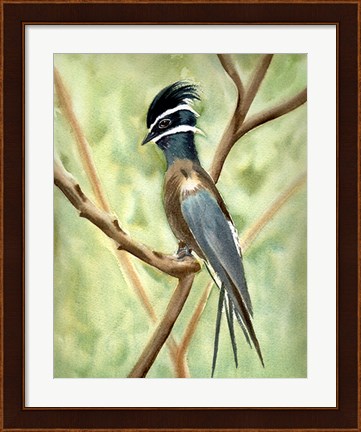 Framed Bird on Branch Print