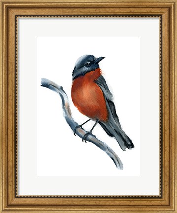 Framed Robin Print