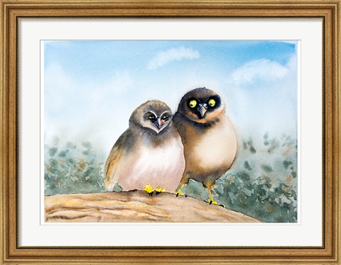 Framed Owls Print