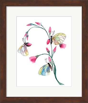 Framed Flower Print
