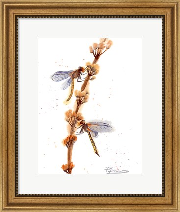 Framed Dragonflies Print