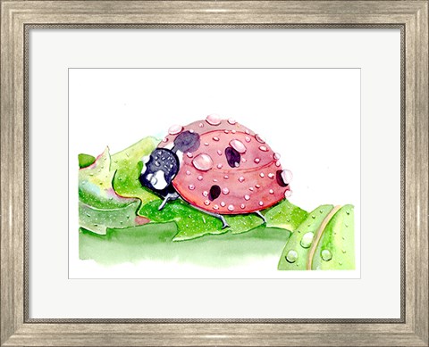 Framed Ladybug Print