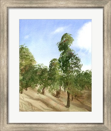 Framed Apple Trees Print